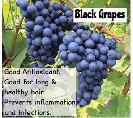 Benefits of Black Grapes! - By Dt. Neha Suryawanshi | Lybrate