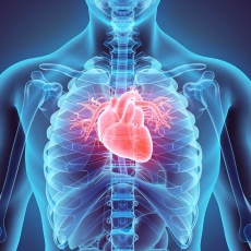 ãHeart valve diseaseãã®ç»åæ¤ç´¢çµæ
