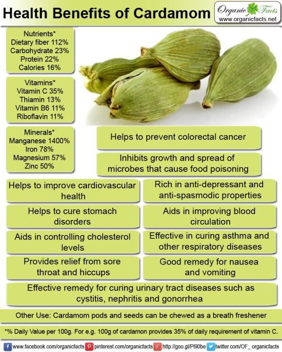 The Nutritional and Health Benefits of Cardamom or Elaichi The Nutritional and Health Benefits of Cardamom or Elaichi