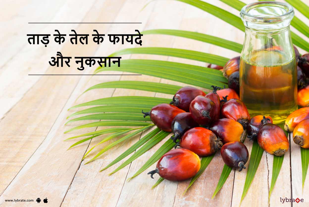 Palm Oil Taad Ka Tel Benefits And Side Effects In Hindi त ड Palm Oil Taad Ka Tel Benefits And Side Effects In Hindi त ड क