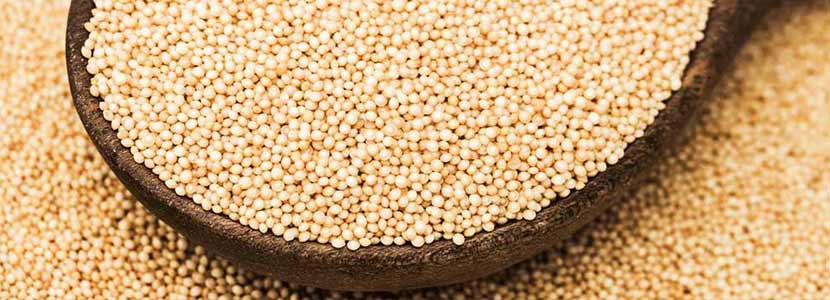 चौलाई के फायदे और इसके दुष्प्रभाव | Amaranth (Chaulai) Benefits in Hindi