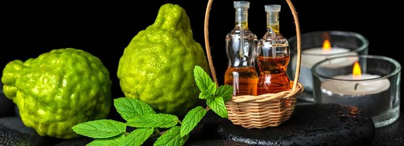 Benefits Of Bergamot Oil And Its Side Effects Lybrate