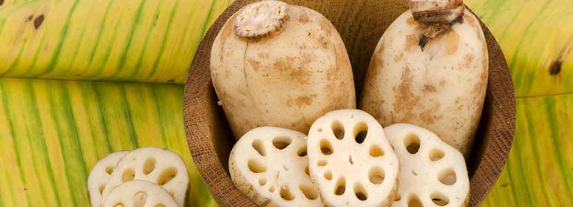 Benefits Of Lotus Root And Its Side Effects Lybrate