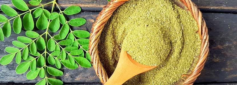 benefits-of-moringa-and-its-side-effects-lybrate