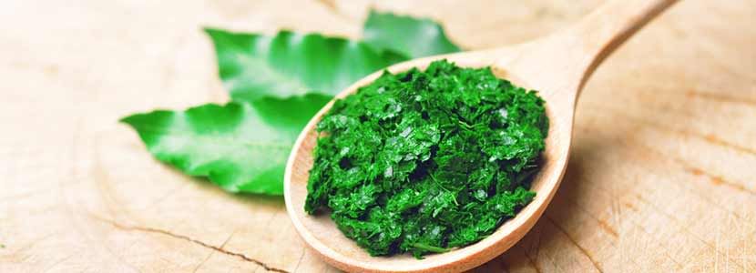 Image result for neem for teeth