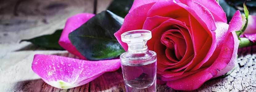 Benefits of Rose Oil And Its Side Effects