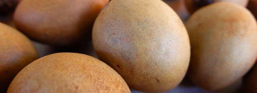 Benefits of Sapodilla (Chiku) And Its Side Effects