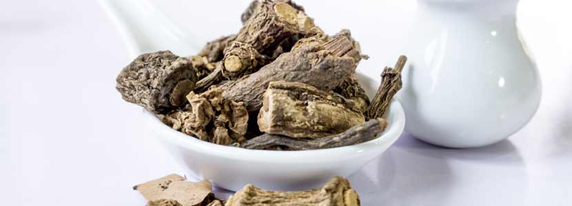 सर्सापैरिला के लाभ और इसके दुष्प्रभाव | Sarsaparilla Benefits in Hindi