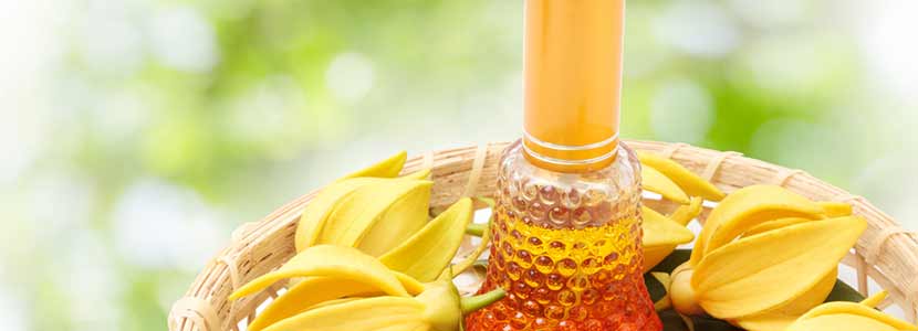 इलंग इलंग तेल (वन चम्पक​ तेल​) के फायदे और इसके दुष्प्रभाव | Ylang Ylang Oil Benefits in Hindi