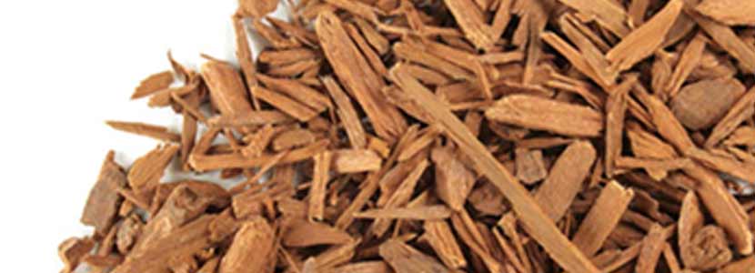 勃起不全は勃起不全を引き起こします