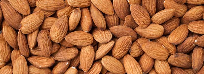 Nutritious California Almond