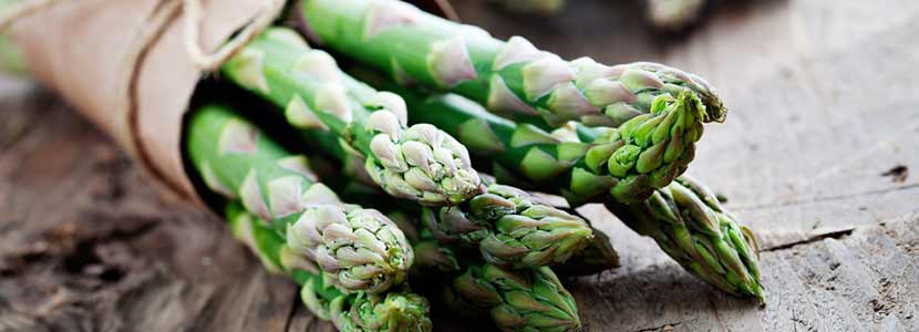 शतावरी के फायदे और नुकसान - Benefits of Asparagus in Hindi