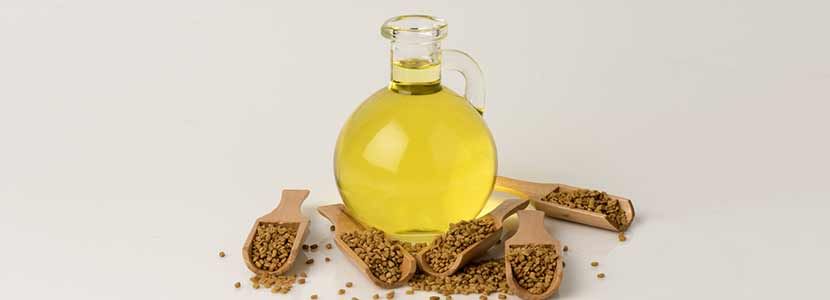 Health Benefits of Fenugreek Oil, Uses And Its Side Effects
