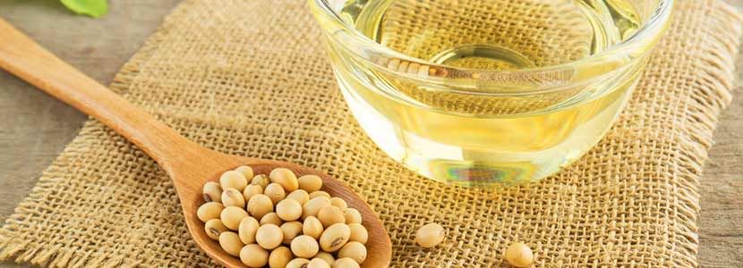 Benefits Of Soybean Oil And Its Side Effects Lybrate 2167