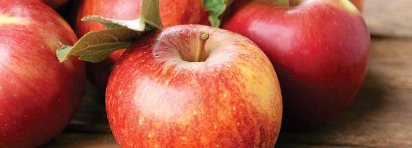 is apple good for kidney