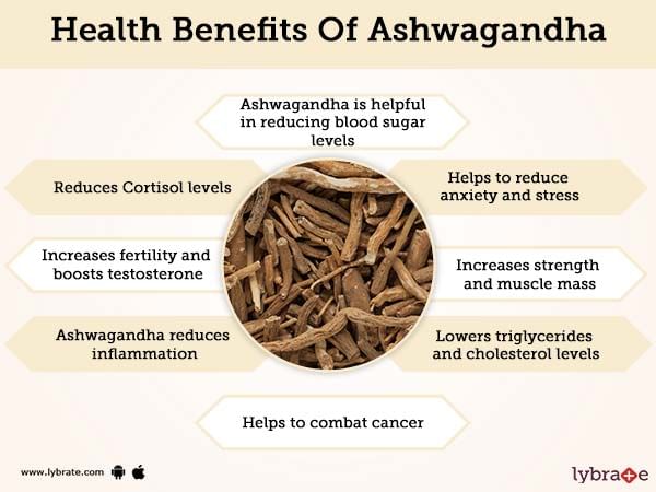 Ashwagandha Benefits And Its Side Effects Lybrate 7849