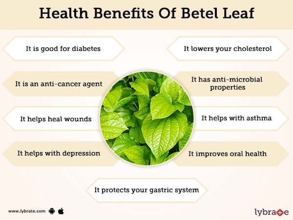 Health benefits of betel leaves