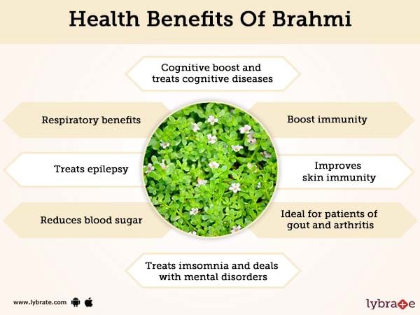 Brahmi Benefits And Its Side Effects Lybrate