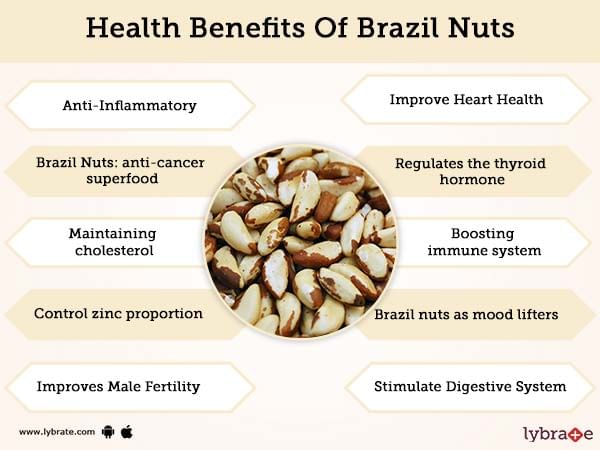 Brazil Nuts Radiation