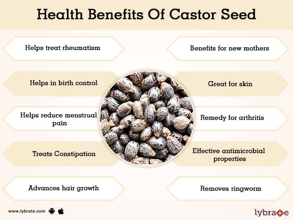 Benefits of Castor Seed And Its Side Effects | Lybrate