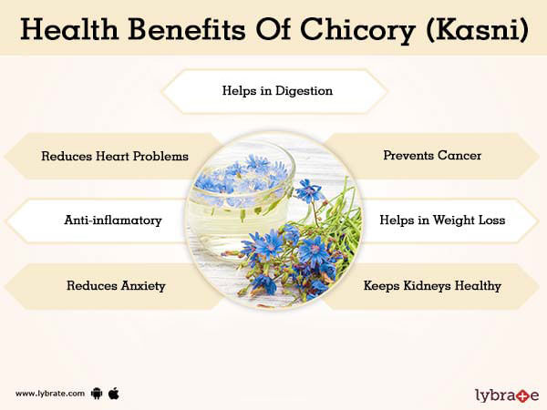 Health Benefits Of Chicory (Kasni) 