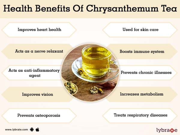 Benefits Of Chrysanthemum Tea And Its Side Effects Lybrate