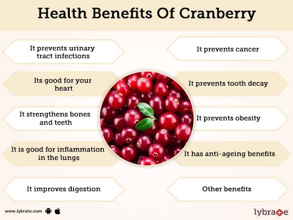 Cranberry Cranberry’s communications