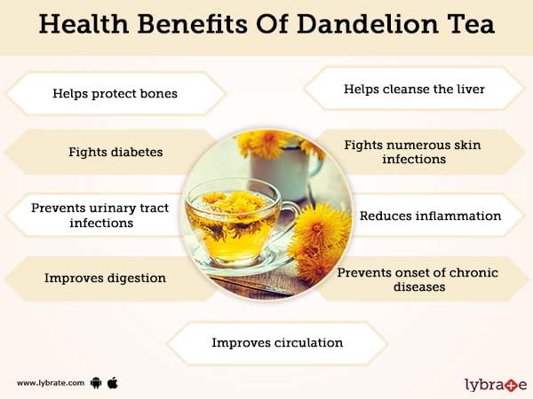 Dandelion Tea History, Benefits and Recipes