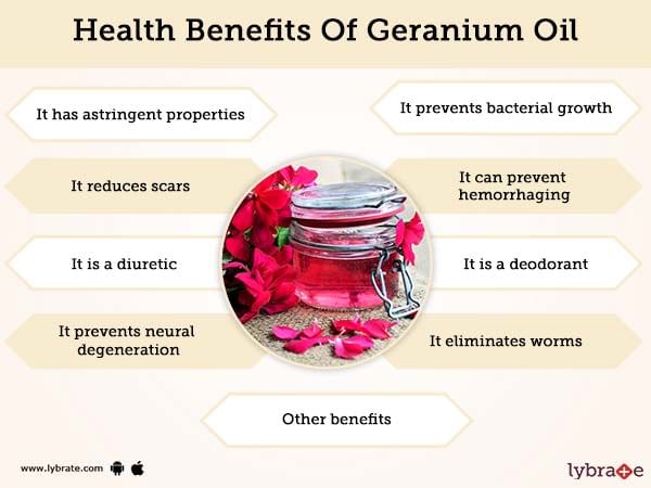 Benefits Of Geranium And Its Side Effects Lybrate