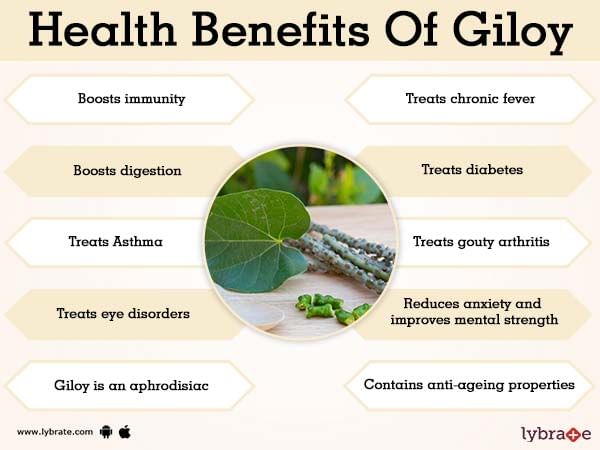 Giloy Benefits And Its Side Effects | Lybrate