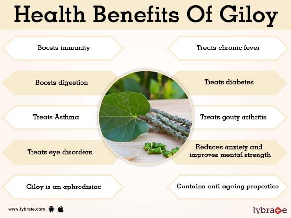 Health Benefits of Giloy