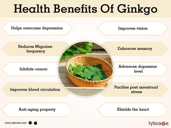 Reageer Vernietigen hardop Benefits of Ginkgo And Its Side Effects | Lybrate