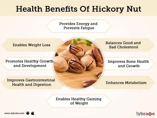 Benefits Of Hickory Nut And Its Side Effects Lybrate