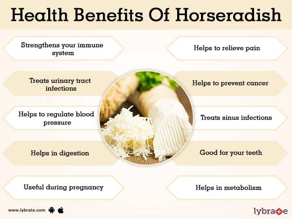 Health Benefits of Horseradish