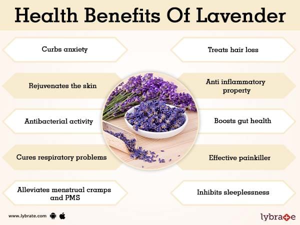 Chart of Health Benefits of Lavender