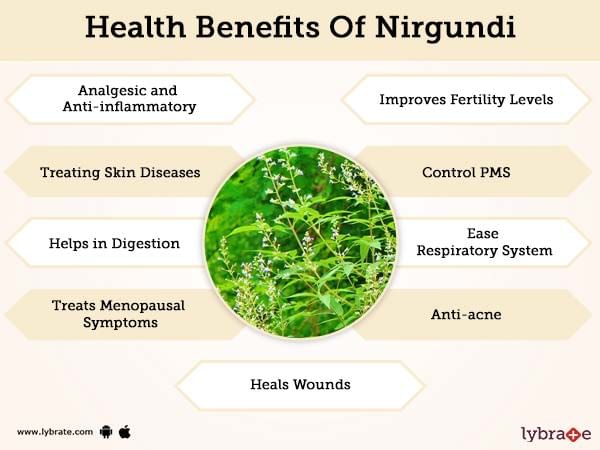 Nirgundi Benefits And Its Side Effects Lybrate