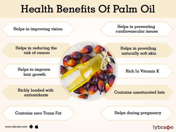 Benefits Of Palm Oil And Its Side Effects Lybrate