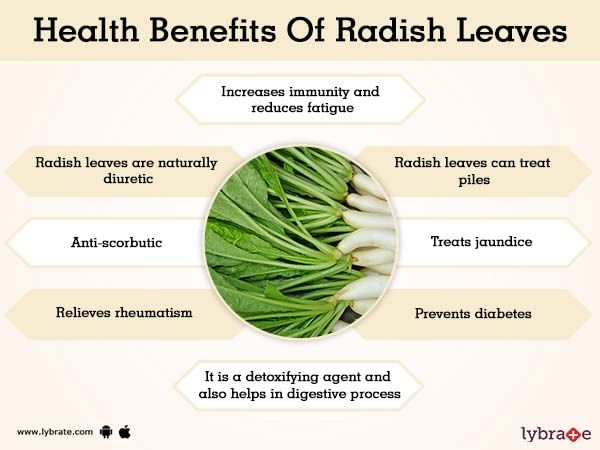 Radish Leaves Benefits And Side | Lybrate