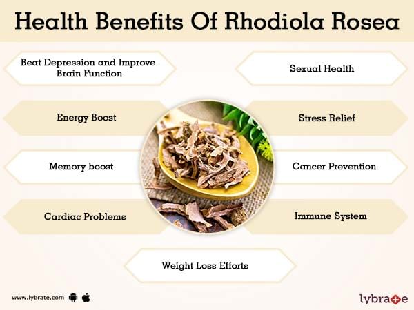Rhodiola rosea: beneficii de la echilibrare hormonală, la tonifiere fizică și mentală