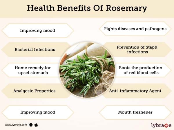 Rosemary Benefits And Its Side Effects | Lybrate