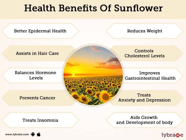 Benefits of Sunflower And Its Side Effects | Lybrate