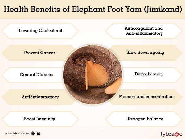 Elephant Foot Yam (JimikAnd) Benefits And Its Side Effects Lybrate