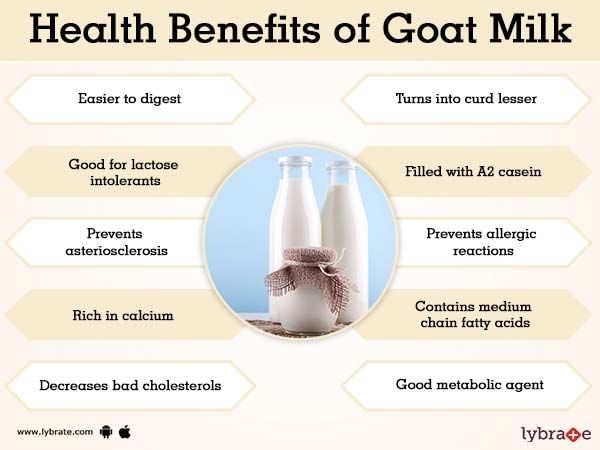 Goat Milk Is Good For Baby Online