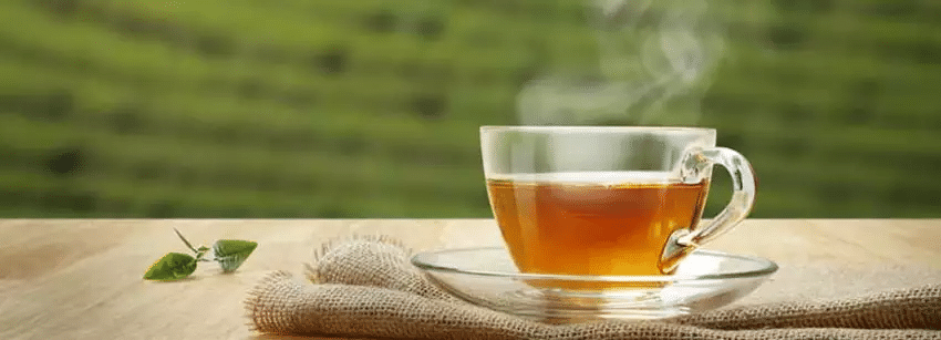 Green Tea Elixir Side Effects