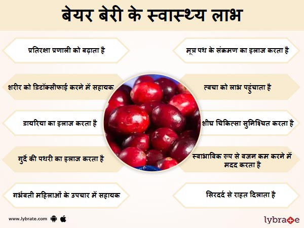 बेयरबेरी के स्वास्थ लाभ