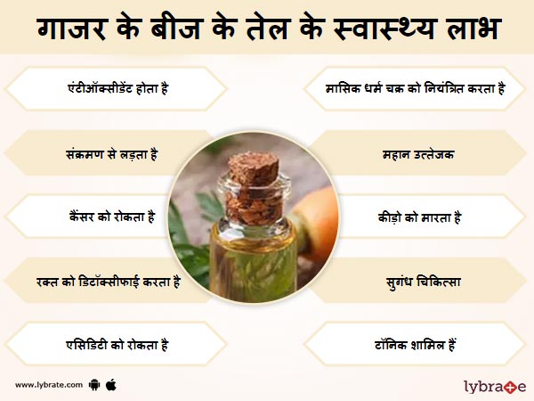 गाजर के बीज का तेल के स्वास्थ लाभ 