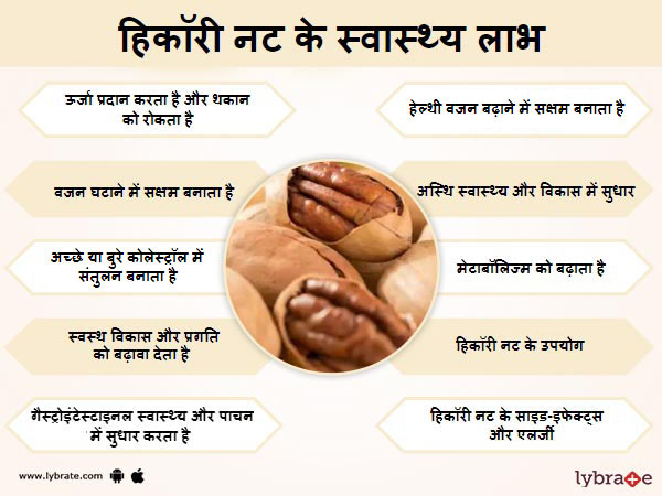 हिकॉरी नट के स्वास्थ लाभ
