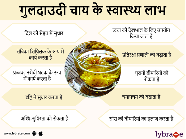 गुलदाउदी चाय के स्वास्थ लाभ