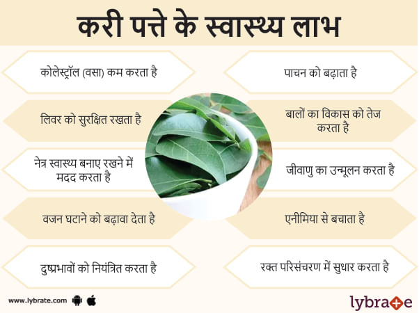 करी पत्ते के फायदेऔर इसके दुष्प्रभाव - Benefits of Curry Leaves in Hindi