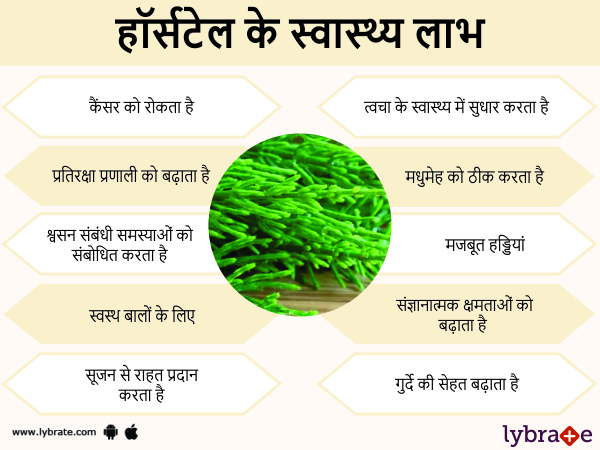 हॉर्सटेल के स्वास्थ लाभ 